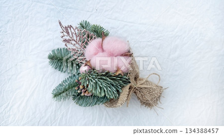 pine cones on a white background 134388457