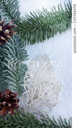 pine cones on snow pine cones on snow 134388458