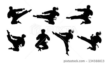 Fighter Slipping Punch Defense Silhouettes 134388813