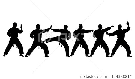 Karate Kata Sequence Silhouette Set 134388814