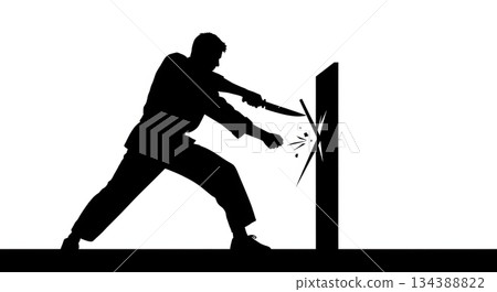 Martial Arts Board Breaking Silhouette Set Martial Arts Board Breaking Silhouette Set 134388822