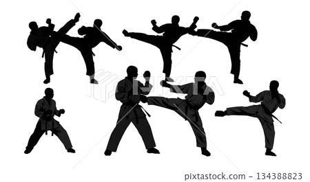Karate Sparring (Kumite) Partner Silhouettes Karate Sparring (Kumite) Partner Silhouettes 134388823