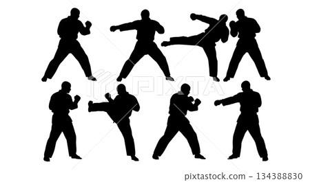 Krav Maga Self-Defense Scenario Silhouettes 134388830
