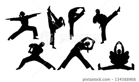 Martial Arts Flexibility Stretching Silhouettes 134388908