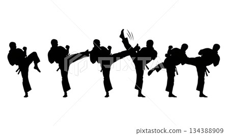 Powerful Roundhouse Kick Silhouette Set 134388909