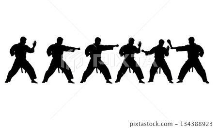 Karate Low Block (Gedan Barai) Silhouettes 134388923