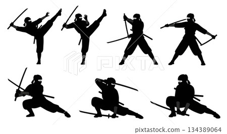 Female Ninja with Dual Swords Silhouettes Female Ninja with Dual Swords Silhouettes 134389064