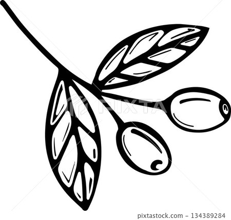olives isolated on a white background olives isolated on a white background 134389284