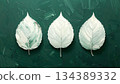 彩繪樹葉插圖 134389332