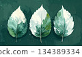 彩繪樹葉插圖 134389334