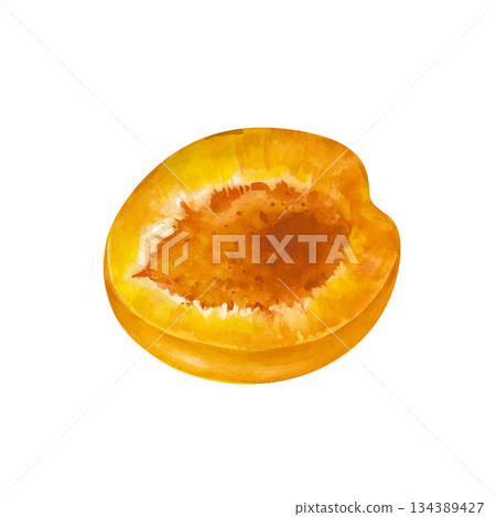 Half an apricot without a stone on an isolated background. Watercolor illustration in natural colors. Realistic clipart with the image of half a juicy fruit for grocery or cosmetic lines. Half an apricot without a stone on an isolated background. Watercolor illustration in natural colors. Realistic clipart with the image of half a juicy fruit for grocery or cosmetic lines. 134389427