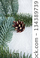 pine cones on snow 134389739
