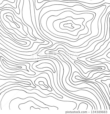 Abstract contour line background. Modern topographic pattern with organic curves and wavy lines. Minimal black and white vector texture perfect for posters, packaging, branding, and surface design. 134389883