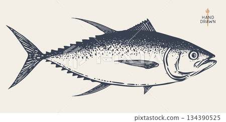 Tuna Fish, seafood, sketch. Vintage retro print, seafood tuna fish sketch, sea life, ink pencil style drawing engrave old school artwork, hand drawn. Sketch artwork tuna fish. Illustration Tuna Fish, seafood, sketch. Vintage retro print, seafood tuna fish sketch, sea life, ink pencil style drawing engrave old school artwork, hand drawn. Sketch artwork tuna fish. Illustration 134390525