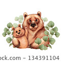 Hand-drawn illustration of cute adult bear and cub surrounded by soft green eucalyptus leaves. Design is perfect for nursery decor, spring cards, or family-themed projects. 134391104