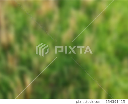 Abstract Green Blurred Nature Background Texture. Soft green blurred abstract background evoking fresh grass or foliage. Ideal for nature-inspired designs and eco themes. 134391415