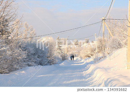 Russian nature in winter, Christmas background. After a snowfall, tree branches are covered with snow and sparkle in the sun, severe frost and low temperatures. Russian nature in winter, Christmas background. After a snowfall, tree branches are covered with snow and sparkle in the sun, severe frost and low temperatures. 134391682