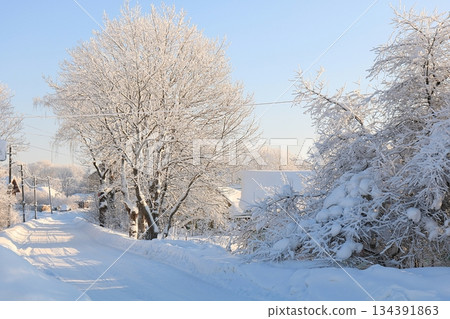 Russian village in winter After a snowfall, the branches of the trees are covered with snow and sparkle in the sun. This is a beautiful winter background 134391863