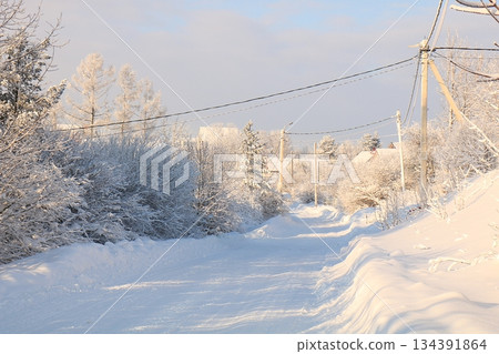 Russian nature in winter, Christmas background. After a snowfall, tree branches are covered with snow and sparkle in the sun, severe frost and low temperatures. 134391864