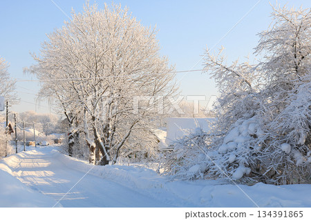 Russian village in winter After a snowfall, the branches of the trees are covered with snow and sparkle in the sun. This is a beautiful winter background 134391865