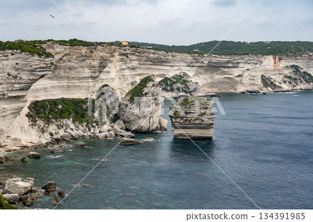 Aerial view marina cape Bonifacio south Corsica France citadel on rocky promontory on wild white limestone cliffs Aerial view marina cape Bonifacio south Corsica France citadel on rocky promontory on wild white limestone cliffs 134391985