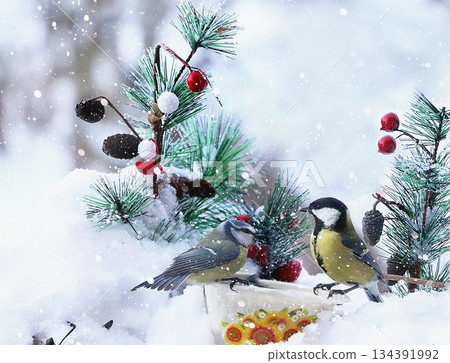 Birds peck seeds from a bird feeder against a snowy backdrop. A winter postcard featuring a beautiful snowy background with the concept of helping birds survive the harsh winter frosts. 134391992