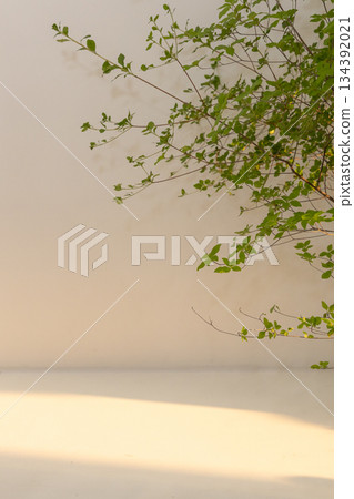 Wall illuminated by the setting sun and shadows of plants_Vertical Wall illuminated by the setting sun and shadows of plants_Vertical 134392021