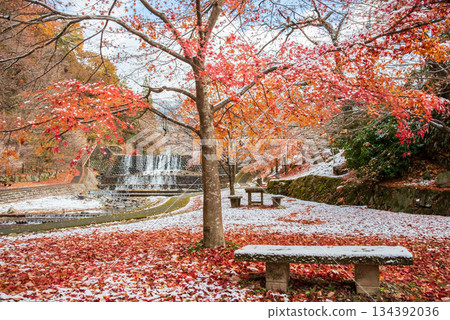 宇城公園下呂溫泉（岐阜縣下呂市） 134392036