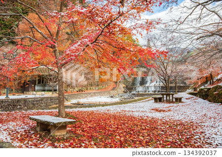 Ujo Park Gero Onsen (Gero City, Gifu Prefecture) Ujo Park Gero Onsen (Gero City, Gifu Prefecture) 134392037