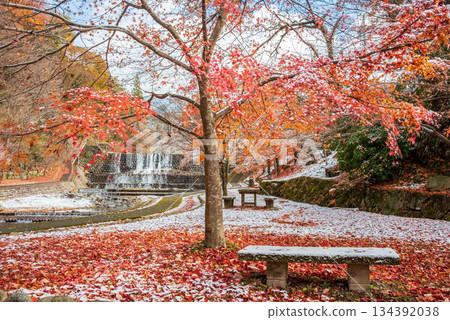 Ujo Park Gero Onsen (Gero City, Gifu Prefecture) 134392038