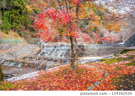 宇城公園下呂溫泉（岐阜縣下呂市） 134392039