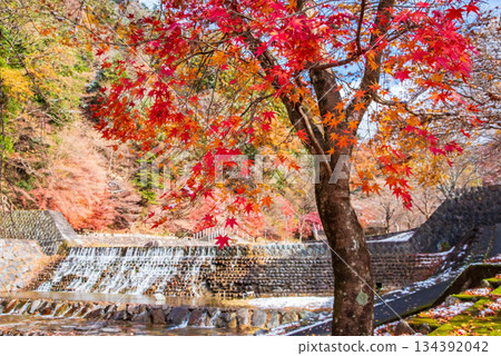 宇城公園下呂溫泉（岐阜縣下呂市） 134392042