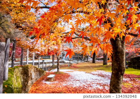 宇城公園下呂溫泉(岐阜縣下呂市) 宇城公園下呂溫泉(岐阜縣下呂市) 134392048