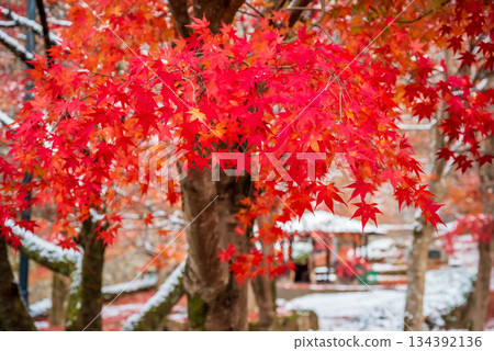 Ujo Park Gero Onsen (Gero City, Gifu Prefecture) Ujo Park Gero Onsen (Gero City, Gifu Prefecture) 134392136