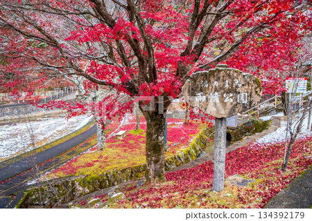 宇城公園下呂溫泉（岐阜縣下呂市） 134392179