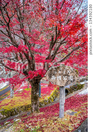 Ujo Park Gero Onsen (Gero City, Gifu Prefecture) 134392180