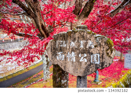 Ujo Park Gero Onsen (Gero City, Gifu Prefecture) Ujo Park Gero Onsen (Gero City, Gifu Prefecture) 134392182