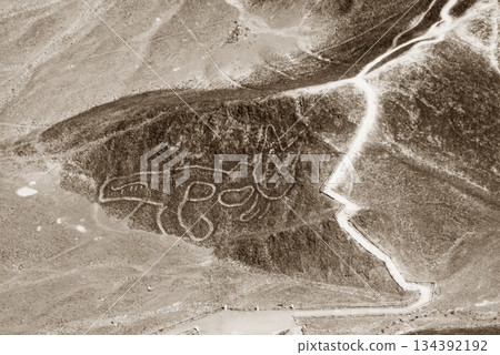 Nazca Lines, Peru, South America Nazca Lines, Peru, South America 134392192