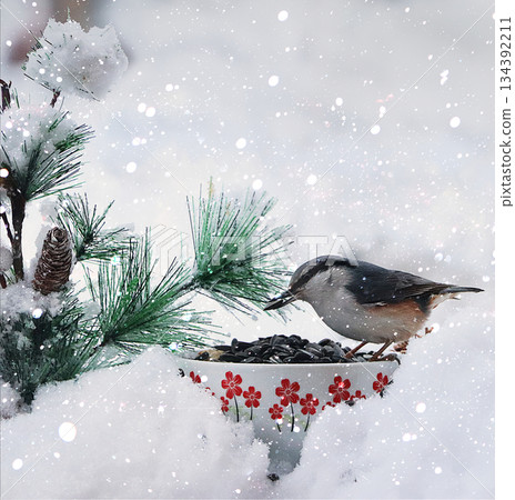 Birds peck seeds from a bird feeder against a snowy backdrop. Winter postcard, a beautiful snowy background with the concept of helping birds in the harsh winter frosts. Nuthatch is pictured. 134392211