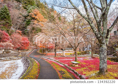 宇城公園下呂溫泉（岐阜縣下呂市） 134392220