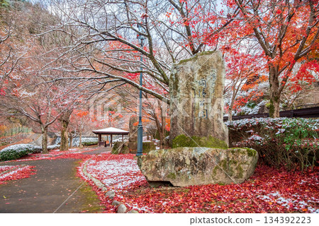 Ujo Park Gero Onsen (Gero City, Gifu Prefecture) 134392223