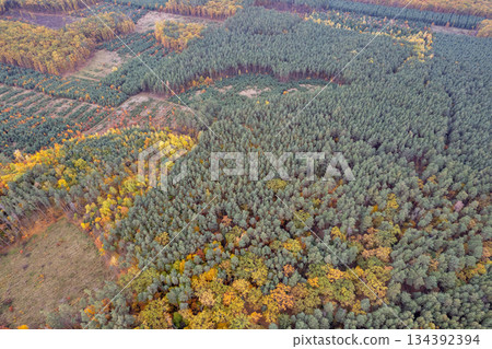 Aerial view of autumn forest with colorful trees, Ukraine. Aerial view of autumn forest with colorful trees, Ukraine. 134392394