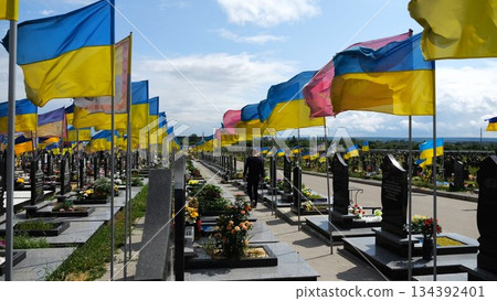 Mourning man go among countless graves of ukrainian soldiers with national flags at military cemetery in Kharkiv. Scene reflects personal sorrow and nation collective loss caused by russian aggression 134392401