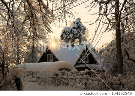 Russian nature in winter, christmas background. After a snowfall, tree branches are covered with snow and sparkle in the sun. This is a beautiful winter banner, new year card 134392549