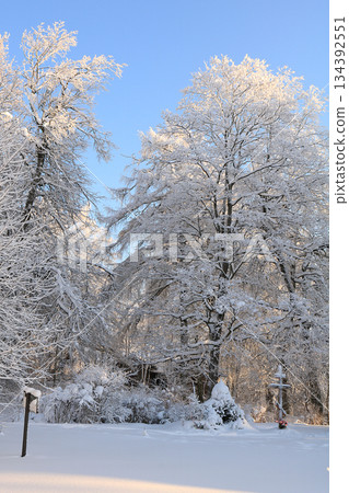 Russian village in winter After a snowfall, the branches of the trees are covered with snow and sparkle in the sun. This is a beautiful winter background Russian village in winter After a snowfall, the branches of the trees are covered with snow and sparkle in the sun. This is a beautiful winter background 134392551