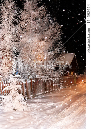 Russian nature in winter, Christmas background. After a snowfall, tree branches are covered with snow and sparkle in the sun, severe frost and low temperatures. 134392624