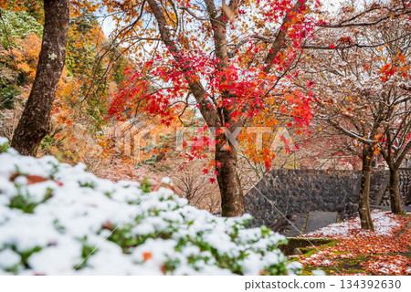Late autumn at Ujo Park, Gero Onsen (Gero City, Gifu Prefecture) Late autumn at Ujo Park, Gero Onsen (Gero City, Gifu Prefecture) 134392630