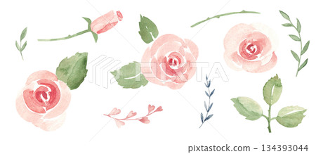 Watercolor rose and floral elements for Valentine and wedding design. Ideal for romantic card, love invitation, beauty branding, social media and elegant decor. 134393044