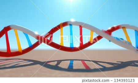 DNA Helix Model Casting a Colorful Shadow on Minimal Sandy Surface Under Bright Sunlight DNA Helix Model Casting a Colorful Shadow on Minimal Sandy Surface Under Bright Sunlight 134393123