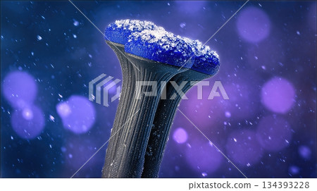 Hiking Poles With Snow Covered Tips Ready for Winter Adventure on a Snowy Trail 134393228